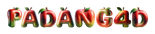 PADANG4D